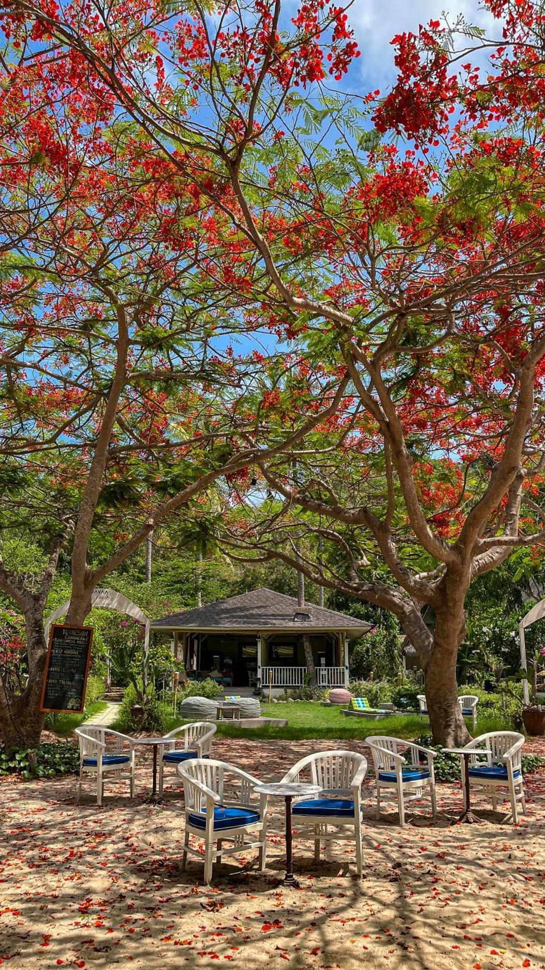 Vayam Boutique Resort ギリ・アサハン エクステリア 写真